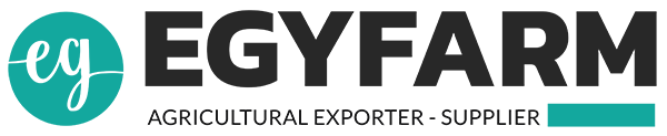 EGY FARM