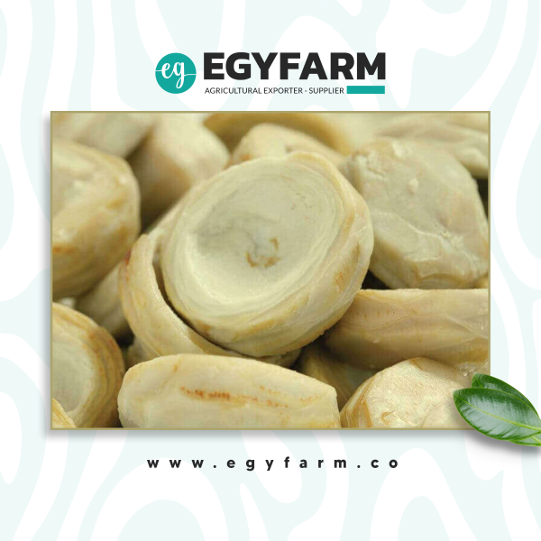 website-design-artichoke